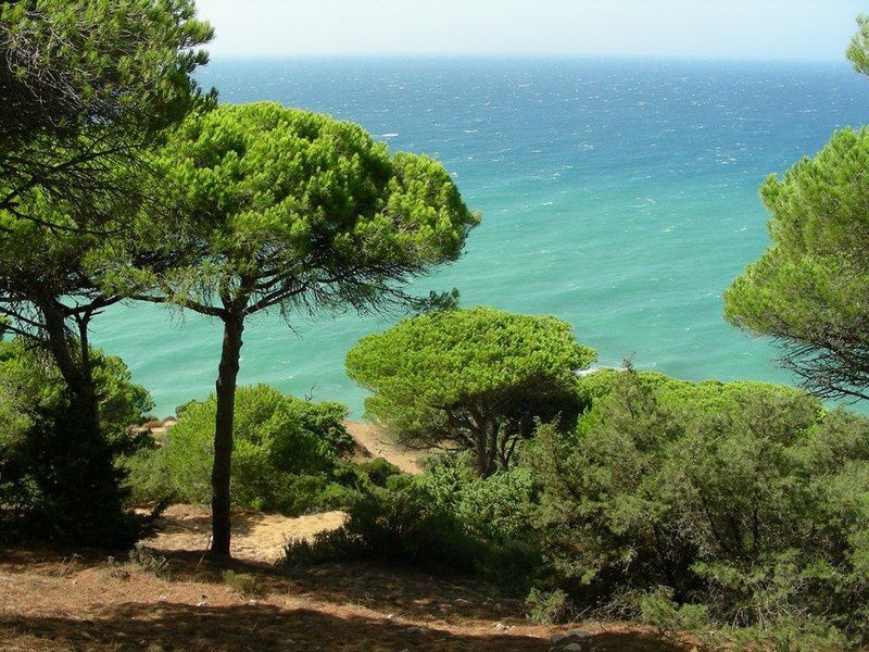 La Aceitera De Trafalgar Barbate Esterno foto